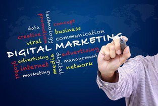 数字智能营销先导，解锁流量商业价值 数字技术服务股迎来新机遇