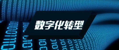 数字化转型的全景图 从科技向开发者开放到社会全面嬗变